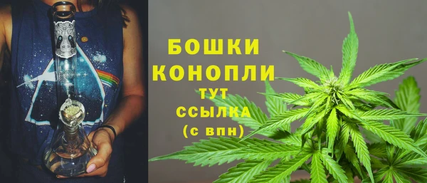 шишки Волосово