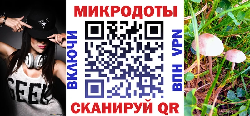 Галлюциногенные грибы Psilocybe  Купить где  Макаров 